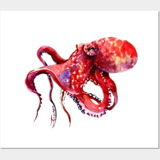 Tropical Red Octopus Posters and Art